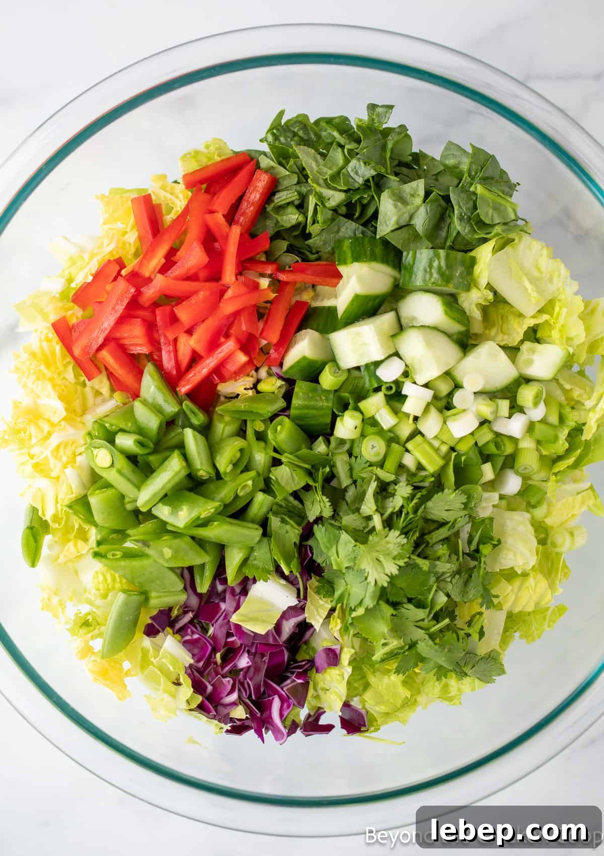 Crispy Asian Chicken Salad with Sesame Ginger Dressing 8 Lettuce and chopped veggies in a large bowl.