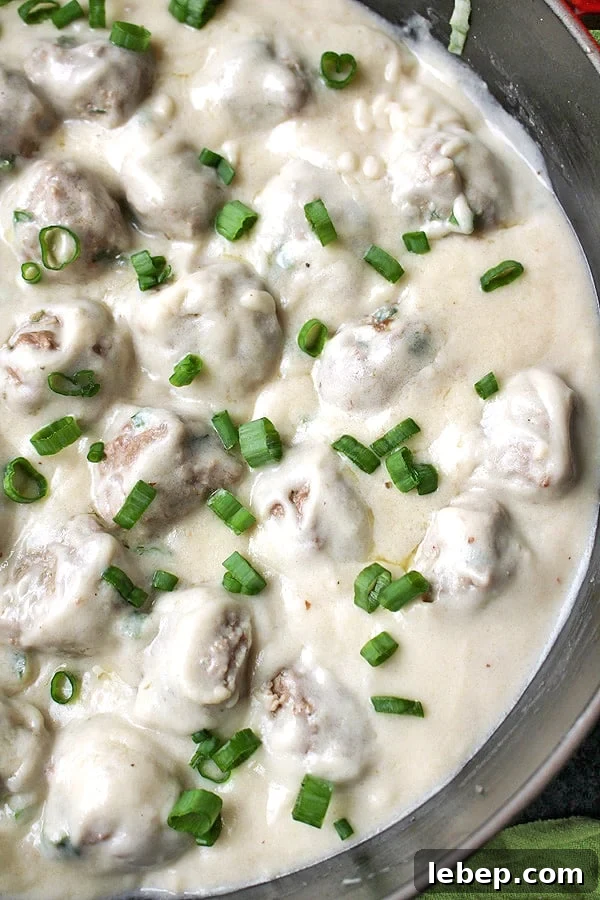 Paleo Whole30 Meatballs in Creamy Garlic Sauce 2 img 4219 1