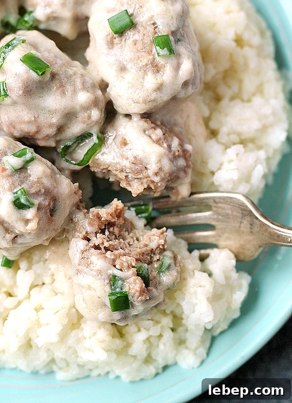 Paleo Whole30 Meatballs in Creamy Garlic Sauce 6 img 4219 5