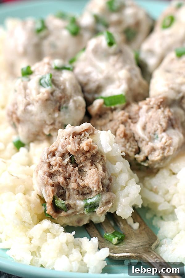 Paleo Whole30 Meatballs in Creamy Garlic Sauce 7 img 4219 6