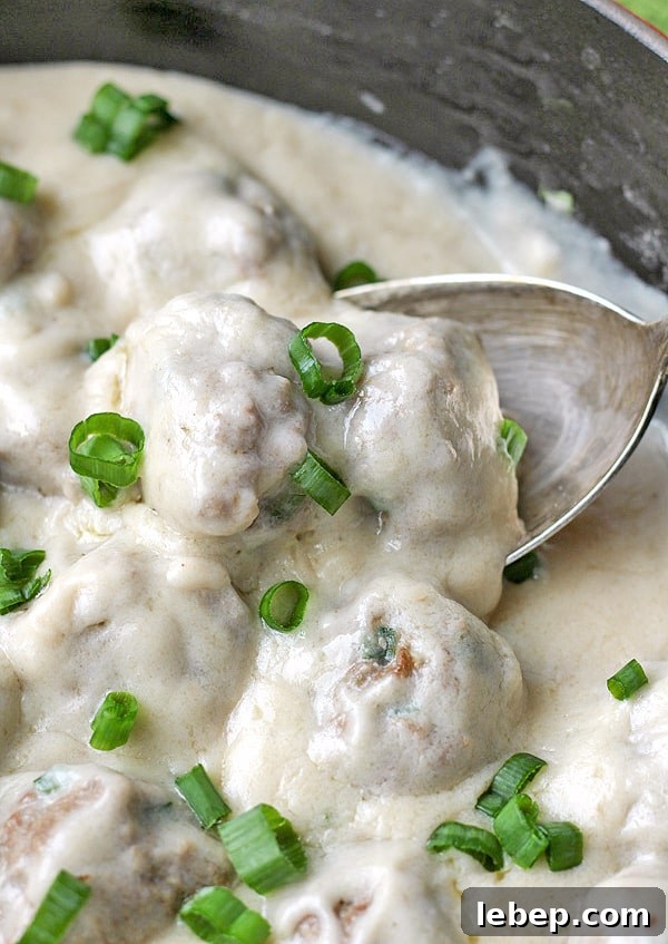 Paleo Whole30 Meatballs in Creamy Garlic Sauce 8 img 4219 7
