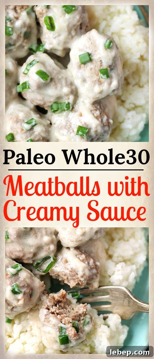 Paleo Whole30 Meatballs in Creamy Garlic Sauce 10 img 4219 9