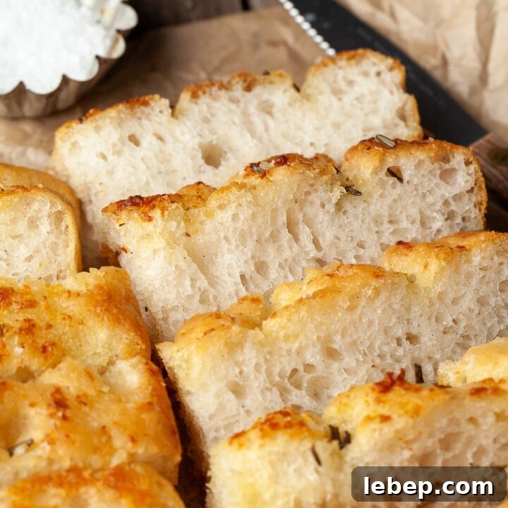 Gluten Free No Knead Focaccia