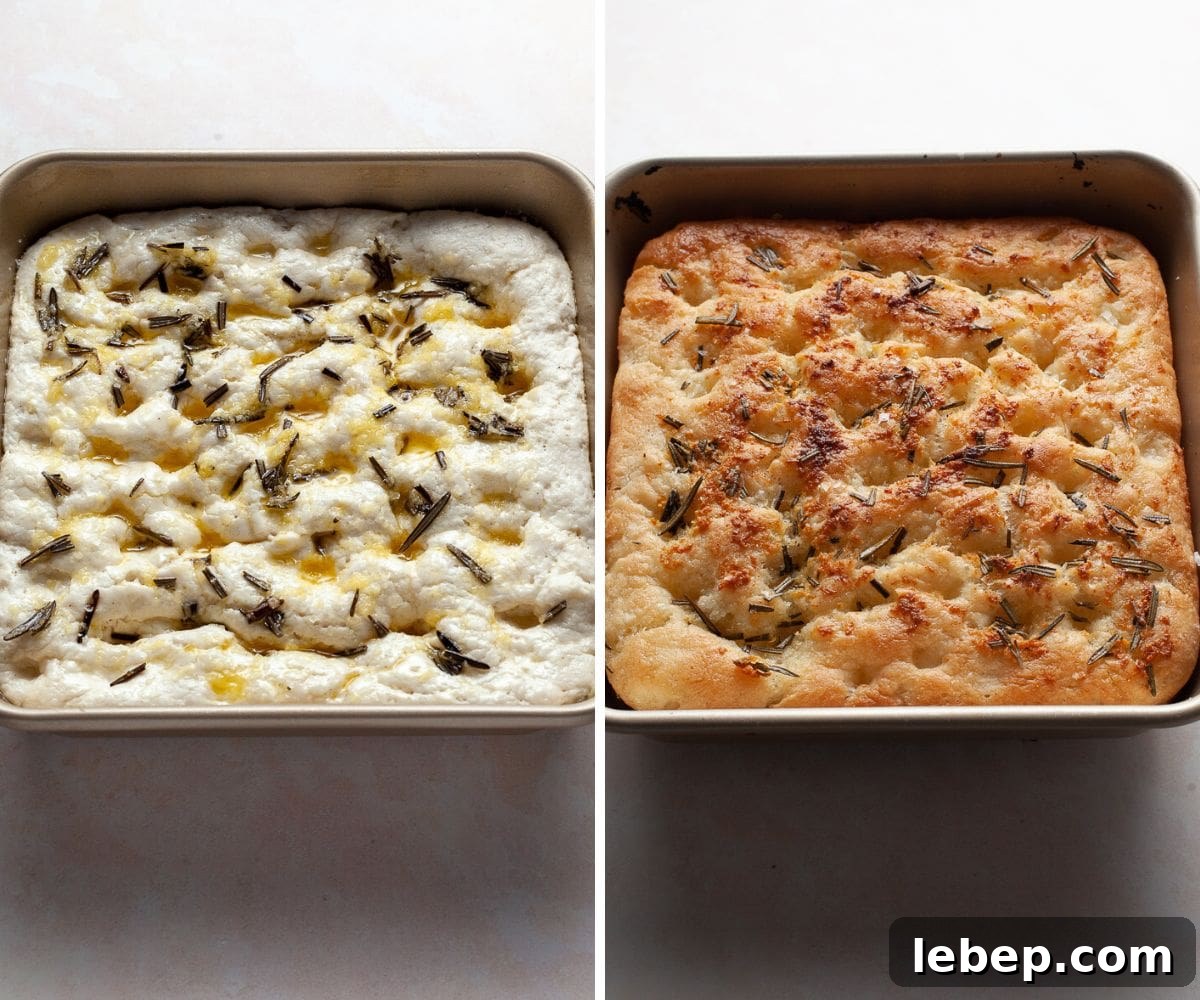 Gluten-Free No-Knead Focaccia Recipe: Crispy, Airy Loaf 9 img 4221 8