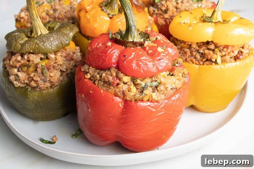 Vegan Lentil-Stuffed Peppers Recipe: Hearty Plant-Based Dinner 14 Vegan Stuffed Peppers in green, yellow, orange and red. Filled with quinoa, lentils and Italian spices.