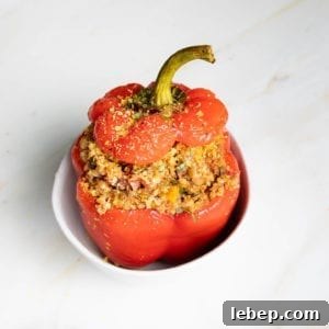 Red bell pepper that is stuffed with quinoa and lentils plus italian spices, with its top back on after cooking sitting inside a white bowl.