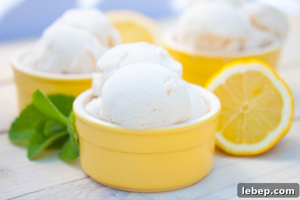Creamy Vegan Lemon Ice Cream Recipe You Can Make at Home 2 Homemade Lemon Ice Cream