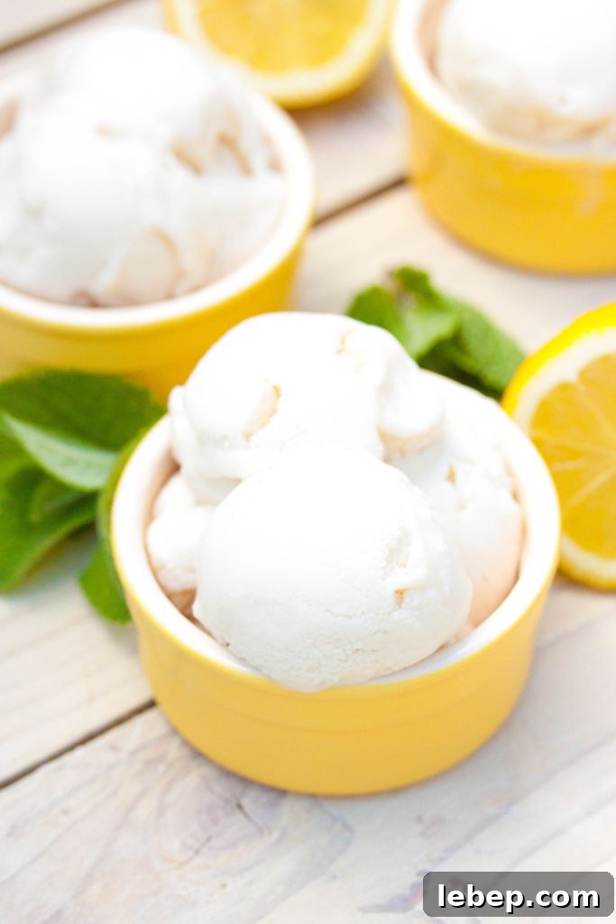 Creamy Vegan Lemon Ice Cream Recipe You Can Make at Home 3 Vegan Homemade Lemon Ice Cream
