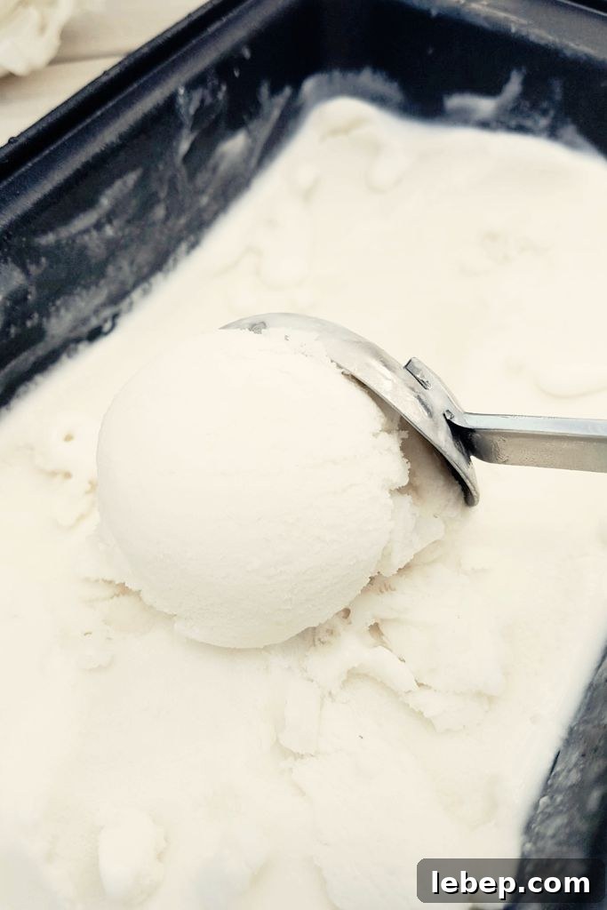 Creamy Vegan Lemon Ice Cream Recipe You Can Make at Home 4 img 4547 3