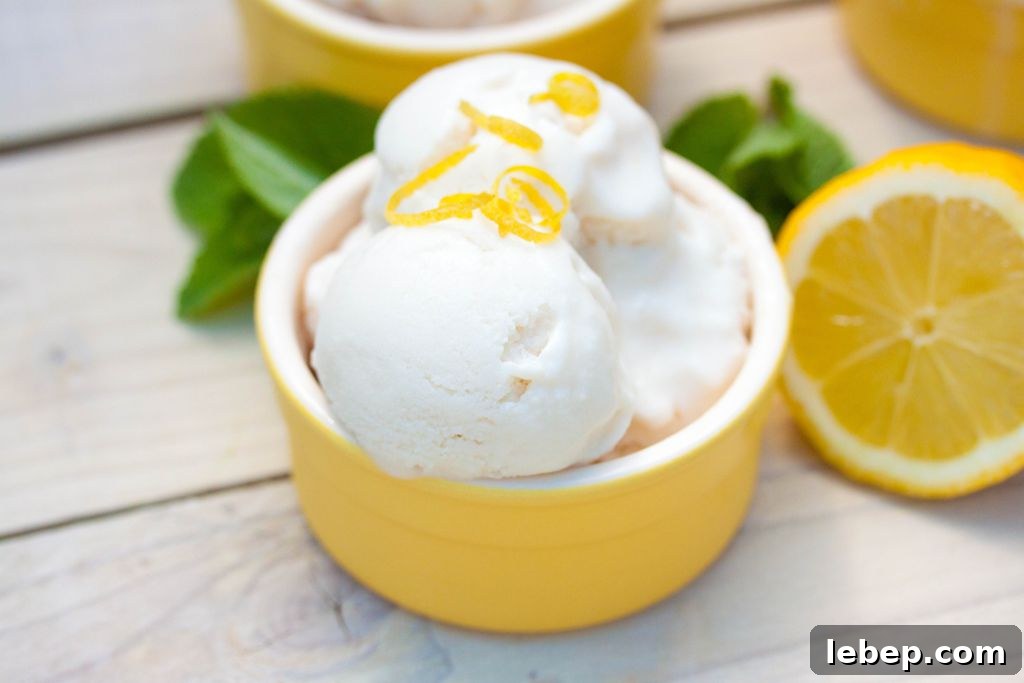 Creamy Vegan Lemon Ice Cream Recipe You Can Make at Home 5 Vegan Homemade Lemon Ice Cream