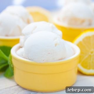 Creamy Vegan Lemon Ice Cream Recipe You Can Make at Home 7 img 4547 6