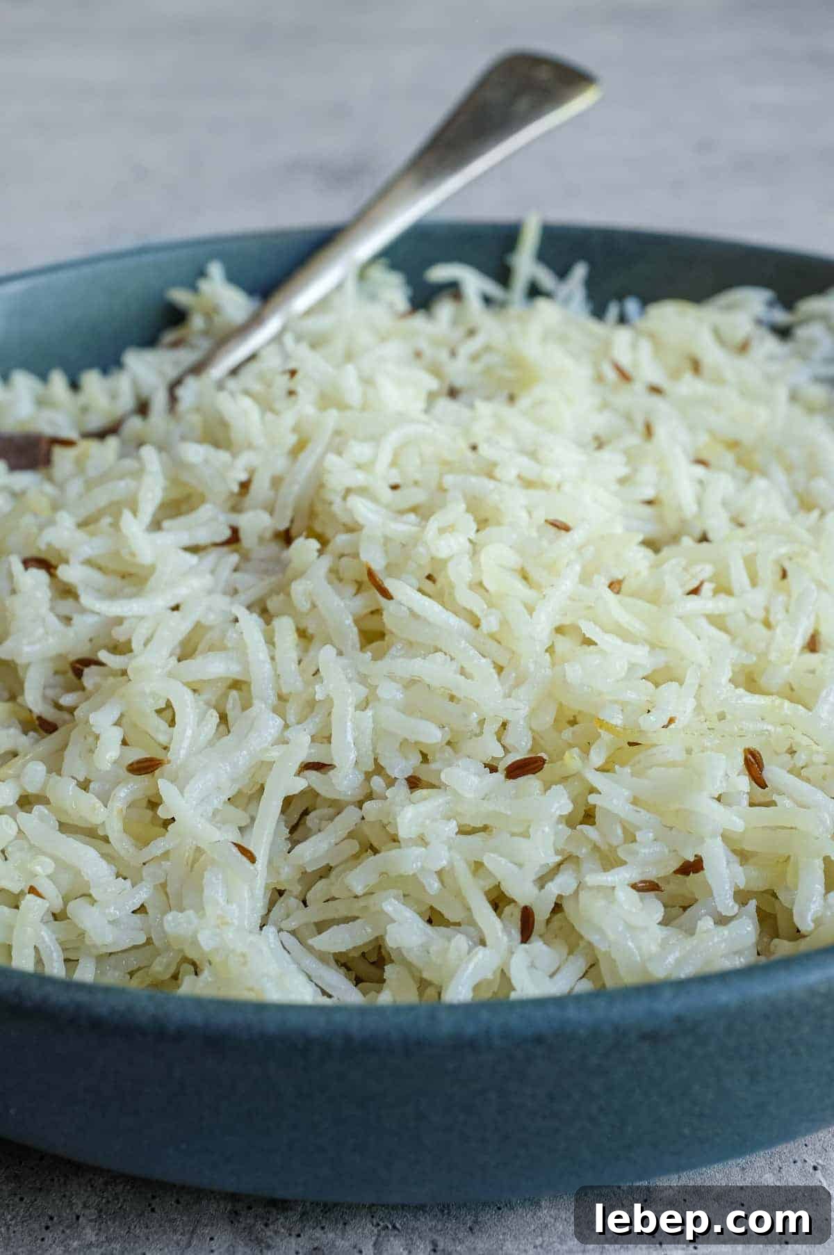 Steamed basmati rice infused with cumin seeds and subtle golden colour
