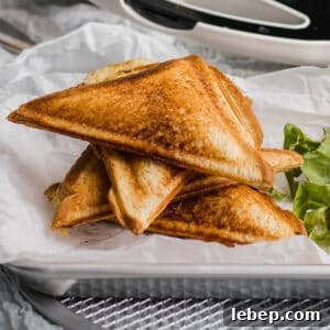 Hummus and Melted Cheese Toastie Recipe for Quick Lunch 8 cooked grilled cheese toasties on a platter