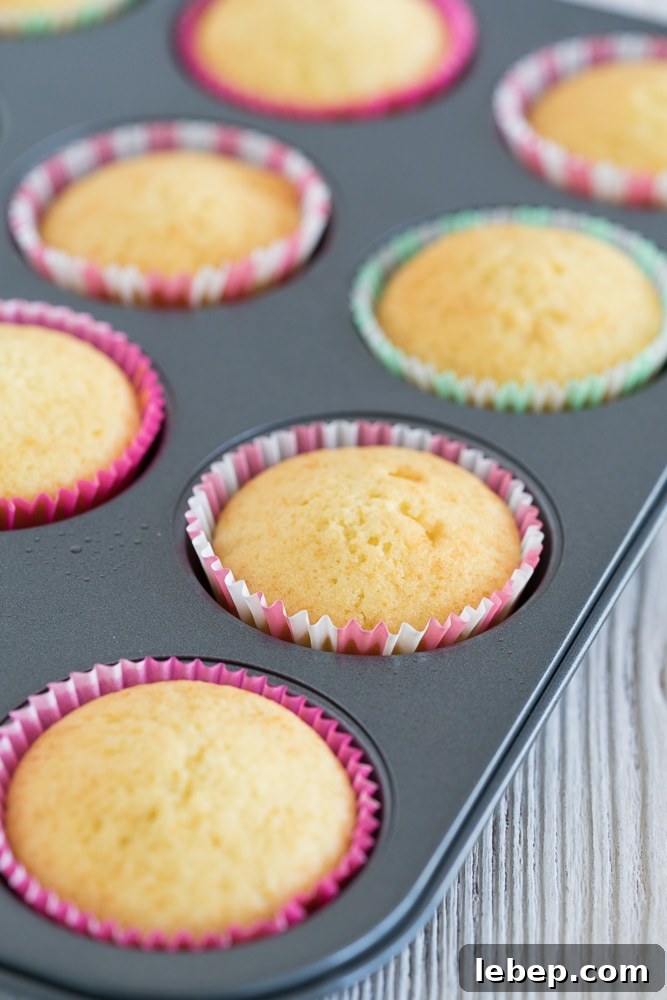 Classic Cupcake Recipe with Baking Tips for Perfect Results 6 delicious-cupcake-recipe-with-tips