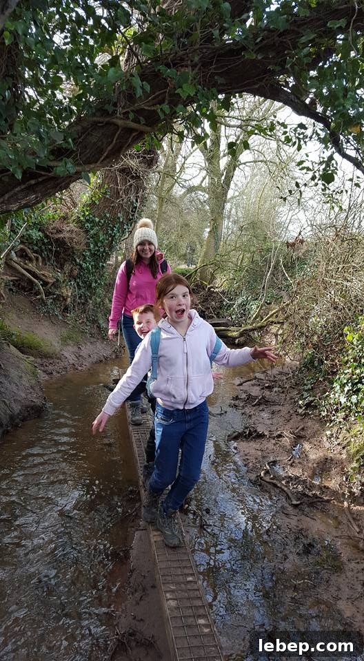 Crocky Trail