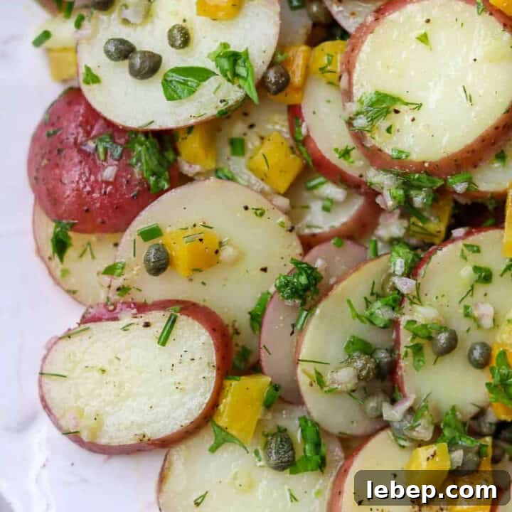Close up of Herbed Potato Salad with Capers and Pickled Golden Beets.