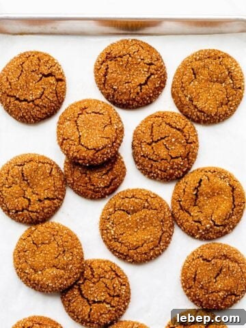 Freshly baked molasses cookies coated in turbinado sugar on a parchment-lined sheet pan.