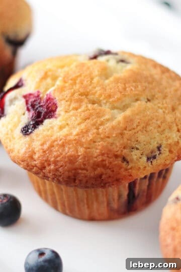 Blueberry muffins on white platter.
