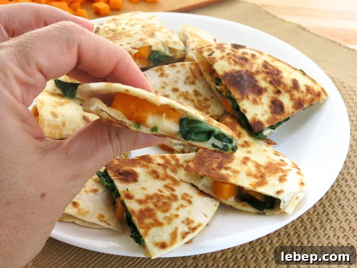 Hand holding a a triangle of a butternut squash quesadilla with spinach.