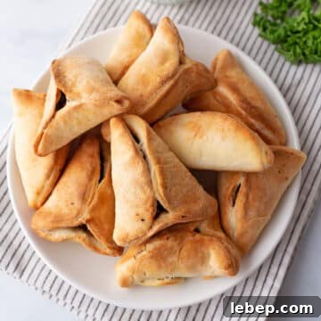 A plate with spinach fatayer.