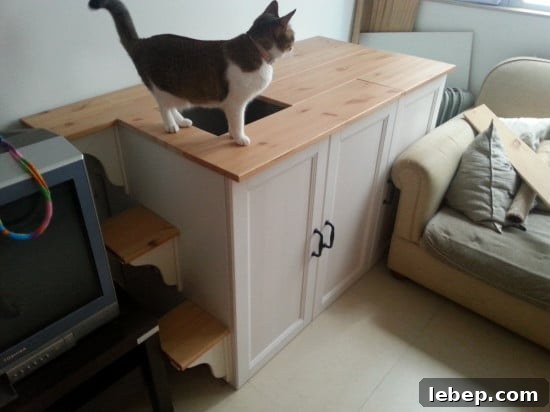 20 Clever IKEA Hacks to Delight Your Cat 12 stylish litter cabinet