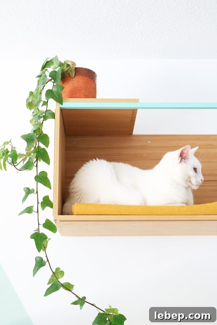 20 Clever IKEA Hacks to Delight Your Cat 13 wall-mounted cat shelf