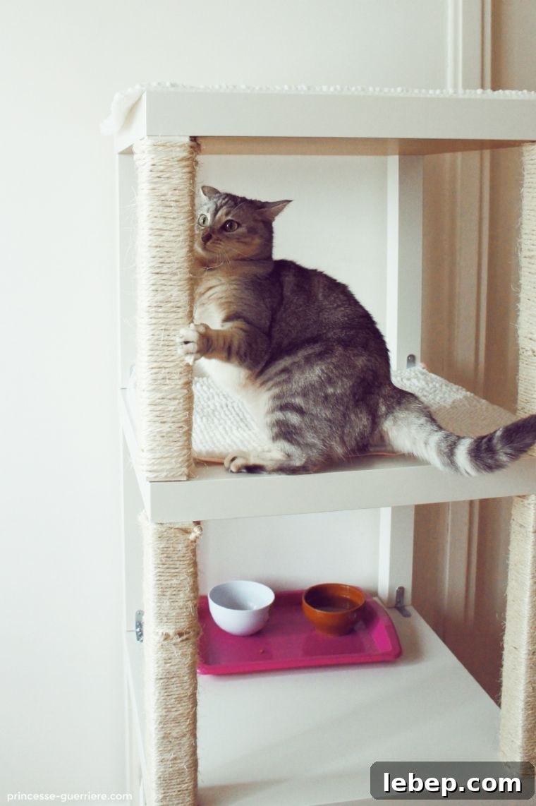 20 Clever IKEA Hacks to Delight Your Cat 14 Vertical Cat Lounge