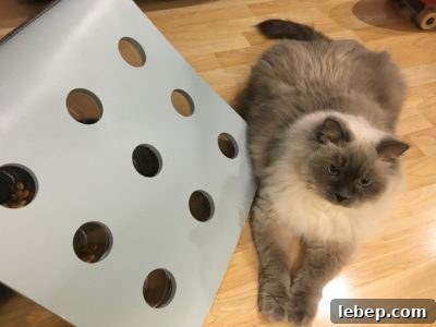 20 Clever IKEA Hacks to Delight Your Cat 15 Forage Board