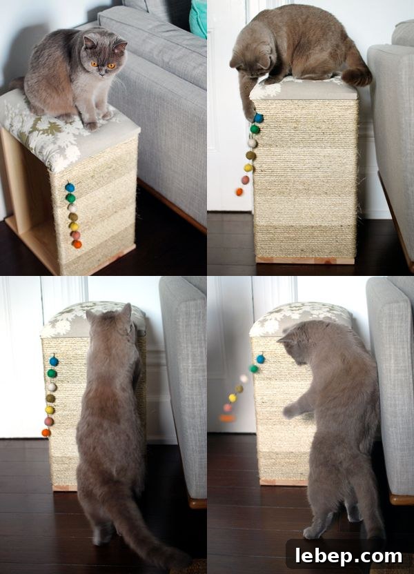 20 Clever IKEA Hacks to Delight Your Cat 20 diy sisal scratching board