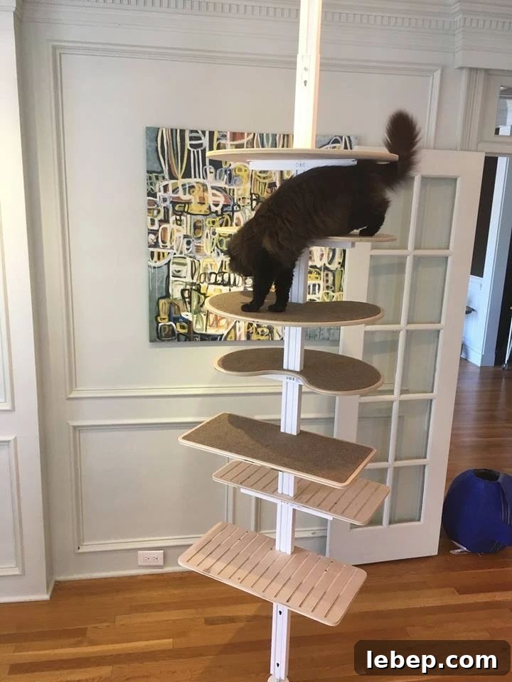 20 Clever IKEA Hacks to Delight Your Cat 7 DIY Minimalist Cat Tree