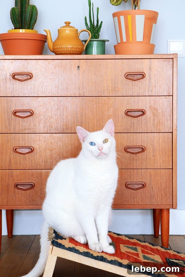20 Clever IKEA Hacks to Delight Your Cat 8 Scratching Platform