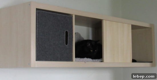 20 Clever IKEA Hacks to Delight Your Cat 9 Wall-Mounted Cat Home