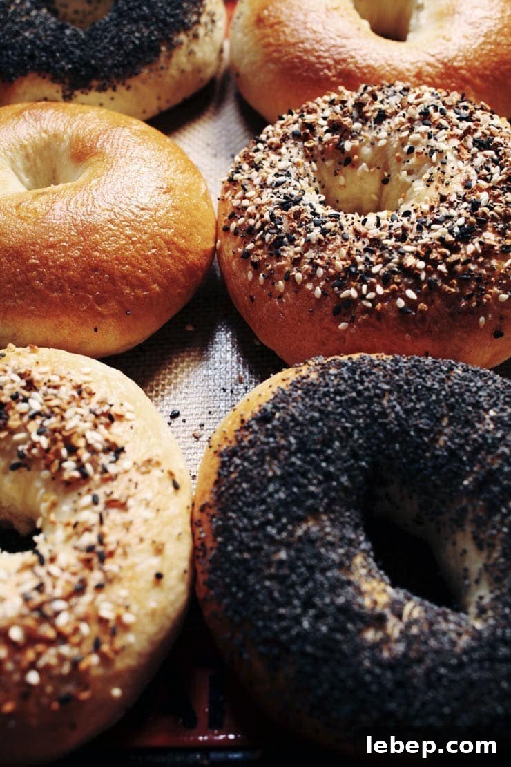 Authentic New York Bagel Recipe: Crispy Outside, Chewy Inside 3 Bagel varieties