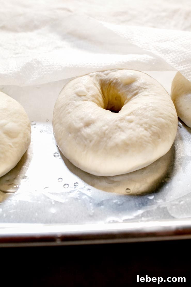 Authentic New York Bagel Recipe: Crispy Outside, Chewy Inside 6 Resting Dough