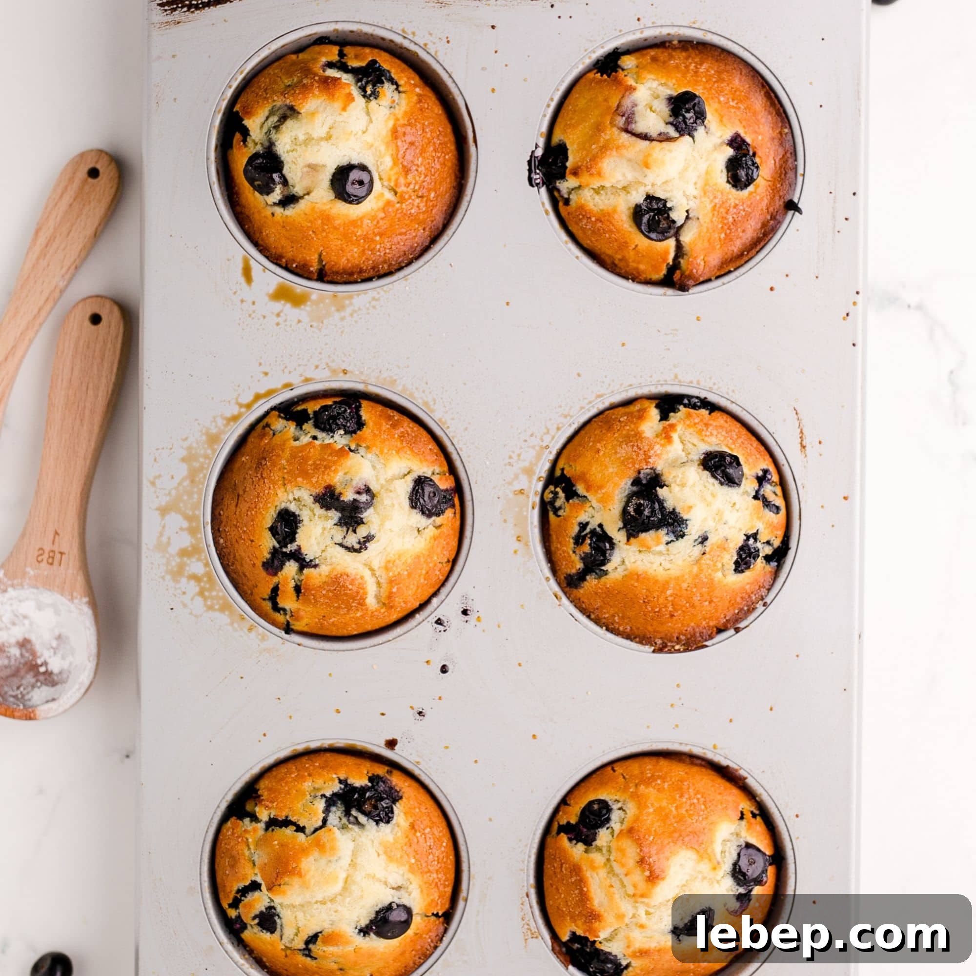 Fluffy Pumpkin Muffins with Cream Cheese Swirl 19 Blueberry muffins recipe in a jumbo muffin tin.