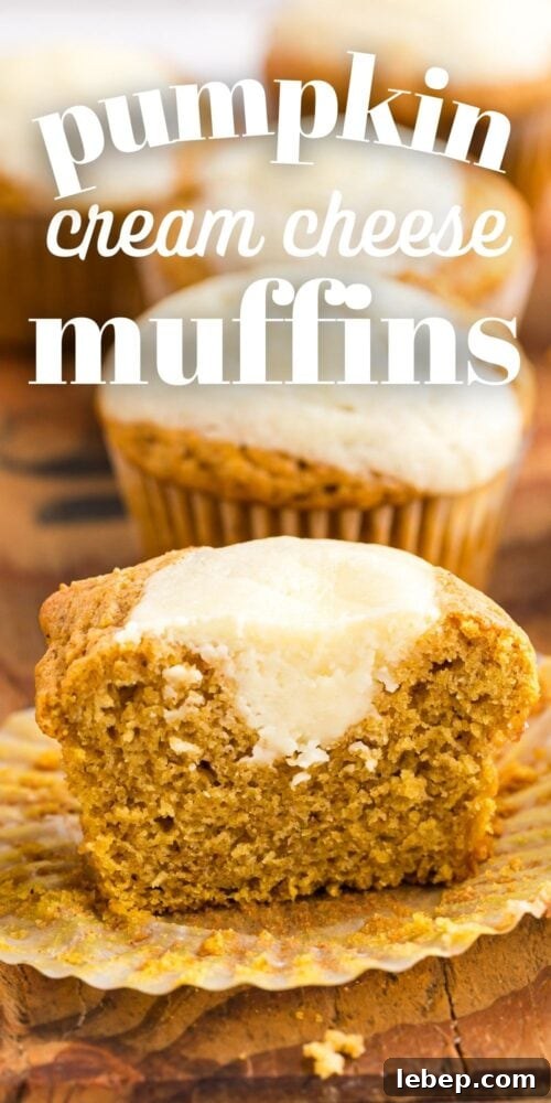Fluffy Pumpkin Muffins with Cream Cheese Swirl 23 picture of muffin filled with cream cheese cut in half