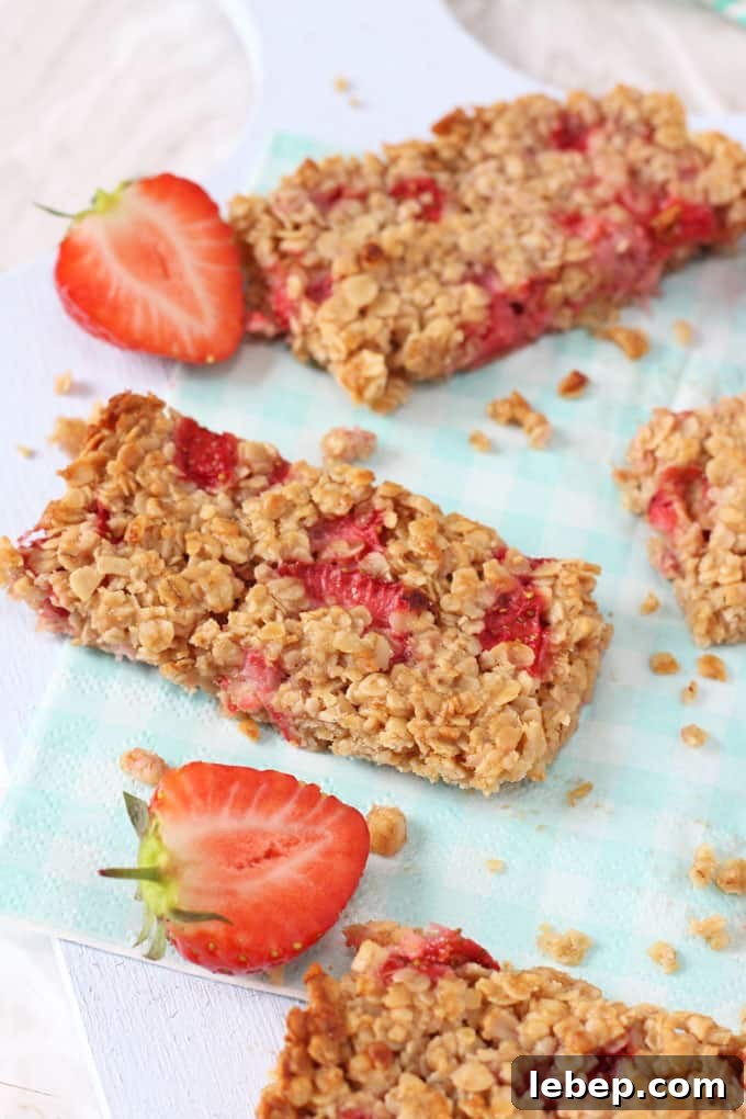 oat bars snacks for kids