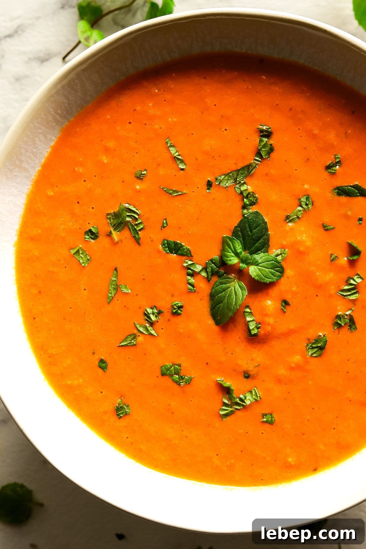 High Protein Cottage Cheese Tomato Soup