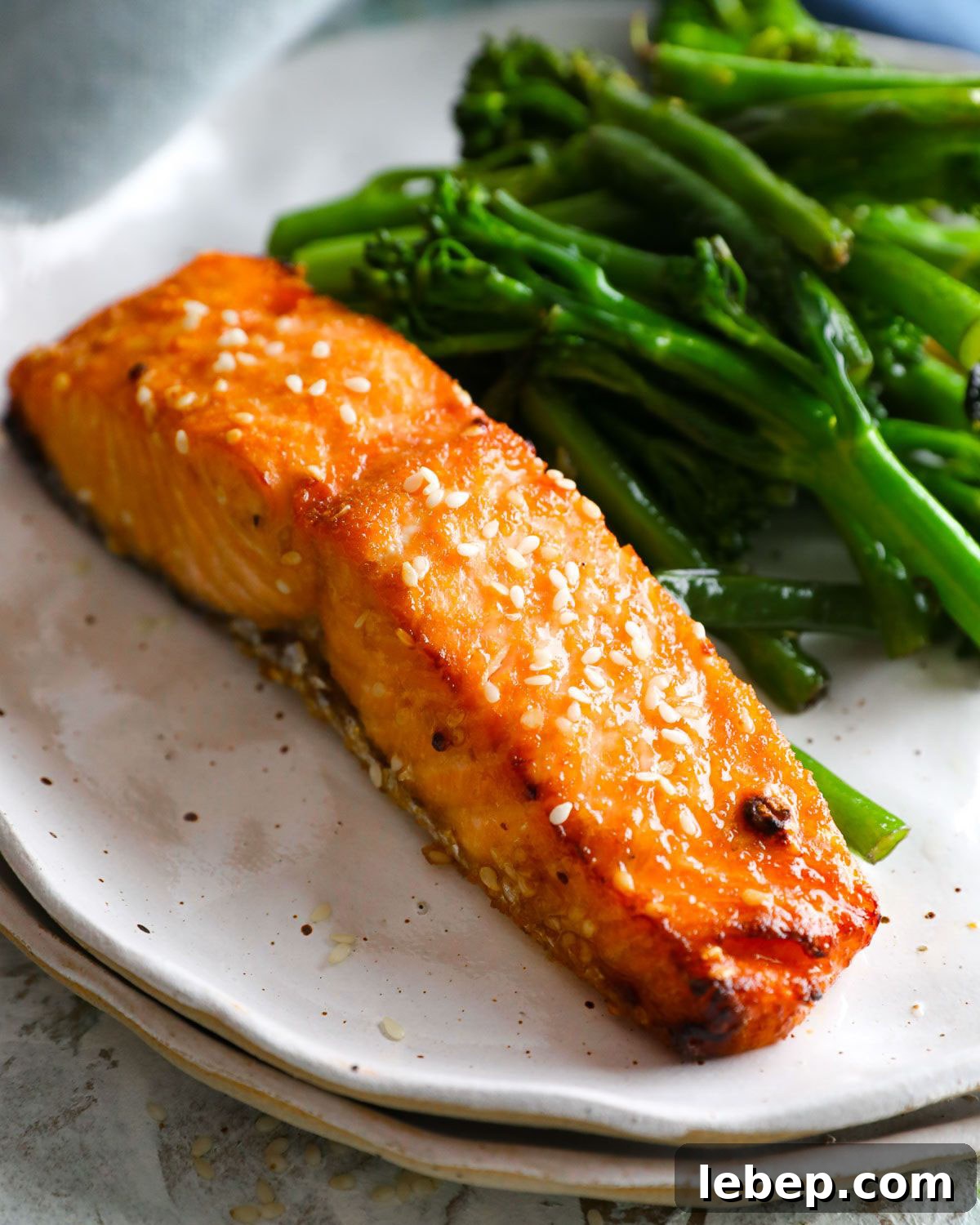 salmon fillet on plate