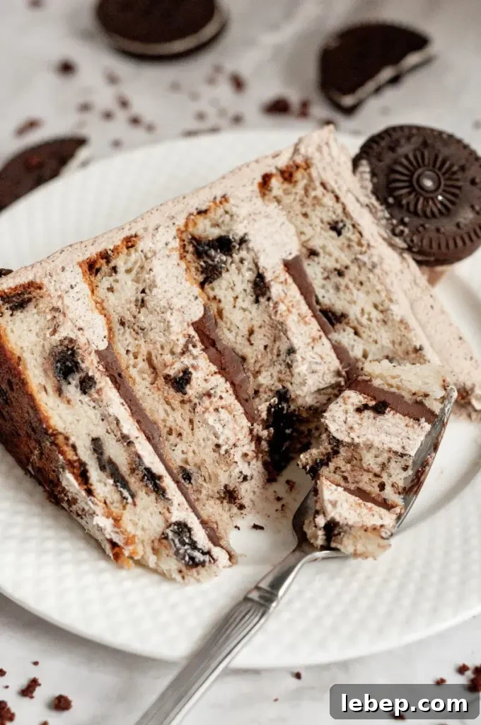 A gluten-free oreo cake with 4 layers of vanilla cake loaded with chipped oreos and covered in a oreo crumb buttercream frosting.