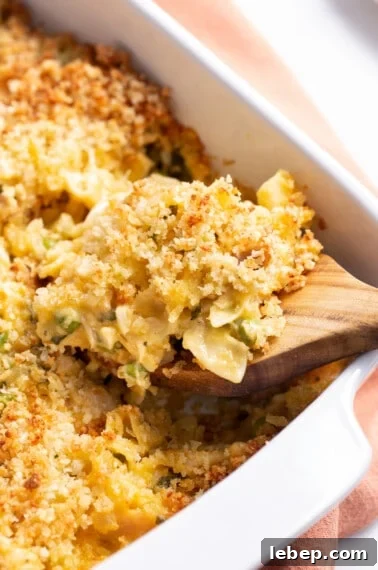 Comfortable Turkey Pot Pie Recipe with Flaky Crust 8 Leftover turkey casserole in a baking dish being scooped with a wooden spoon.