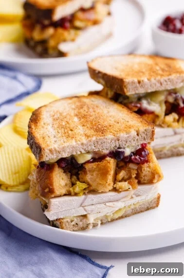 Comfortable Turkey Pot Pie Recipe with Flaky Crust 9 Half a leftover turkey sandwich with turkey, gravy, stuffing, and cranberry sauce.