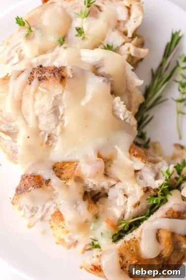 Comfortable Turkey Pot Pie Recipe with Flaky Crust 10 turkey gravy on turkey served on a plate