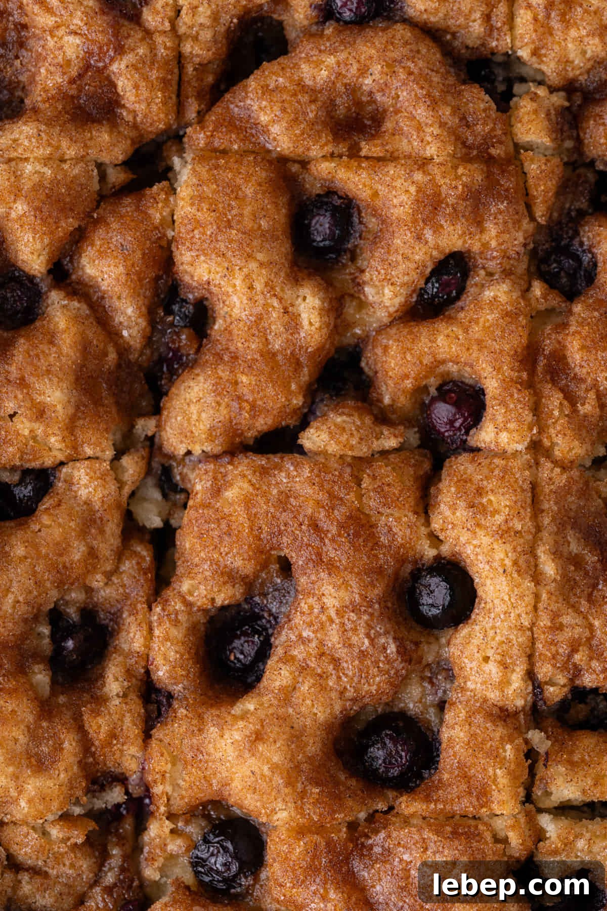 Moist Blueberry Sour Cream Coffee Cake Recipe for Brunch 2 Close up of blueberry coffee cake that has been sliced into generous square pieces.