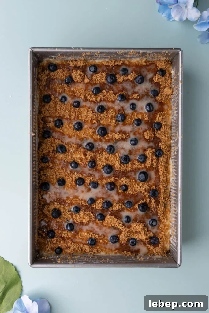 Moist Blueberry Sour Cream Coffee Cake Recipe for Brunch 11 Layered coffee cake with fresh blueberries and melted butter on top, ready to bake in the oven.