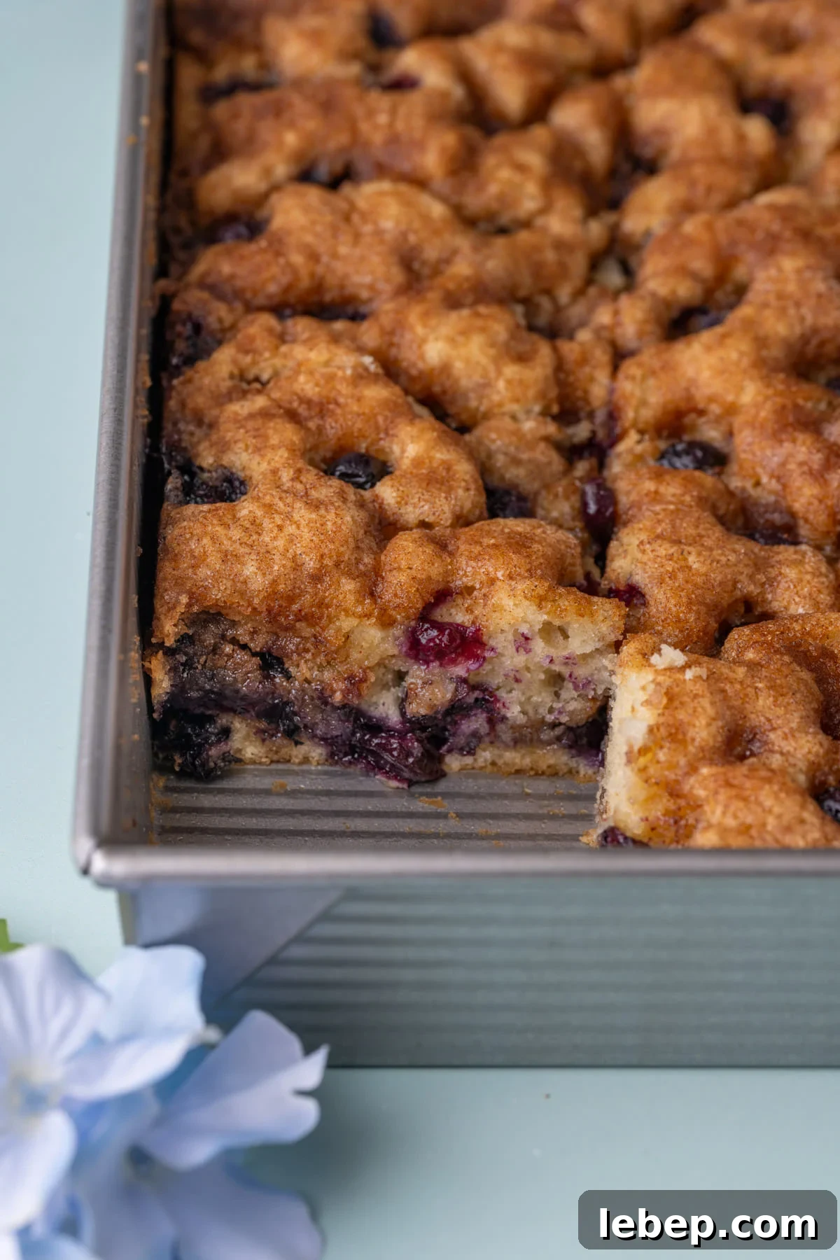 Moist Blueberry Sour Cream Coffee Cake Recipe for Brunch 12 Blueberry coffee cake still in the pan with the corner slice taken out so you can see the layers inside the cake.