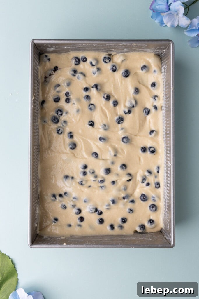 Moist Blueberry Sour Cream Coffee Cake Recipe for Brunch 8 Layer of blueberry cake batter in a large pan.