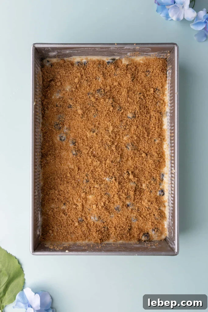 Moist Blueberry Sour Cream Coffee Cake Recipe for Brunch 9 Layer of cinnamon sugar on top of cake batter with blueberries.