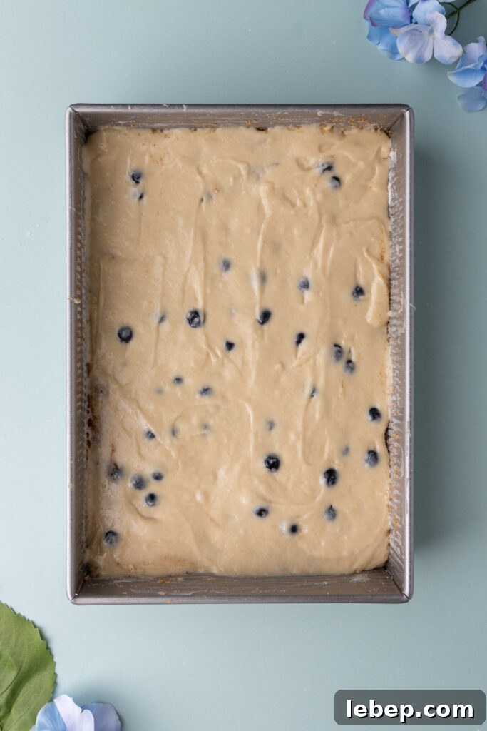 Moist Blueberry Sour Cream Coffee Cake Recipe for Brunch 10 Second layer of cake batter spread over a cinnamon sugar layer.