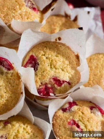 A pile of Sourdough Cranberry Orange Muffins on a tray.